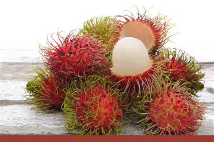 Are rambutan seeds narcotic? | ContextResponse.com