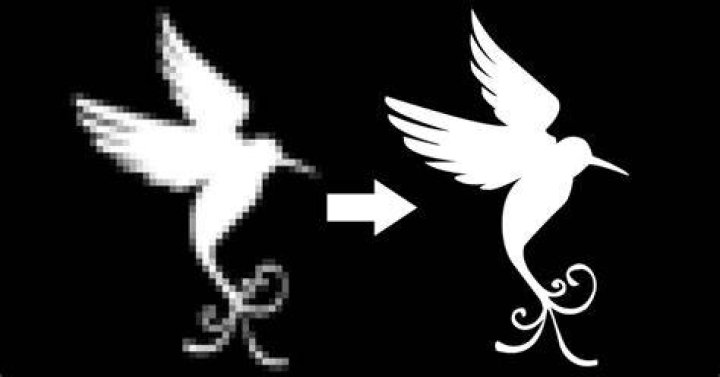 Can you convert a raster image to vector?