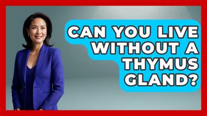 Can you live without a thymus?