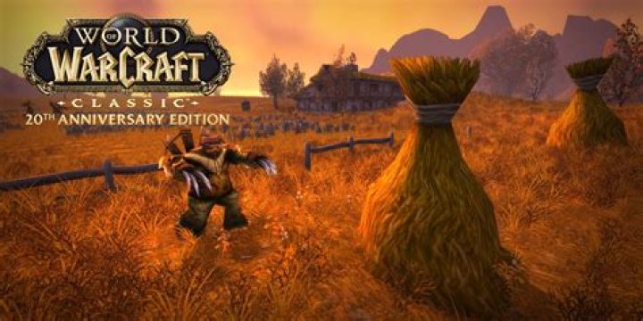 Can you play WoW without Internet?