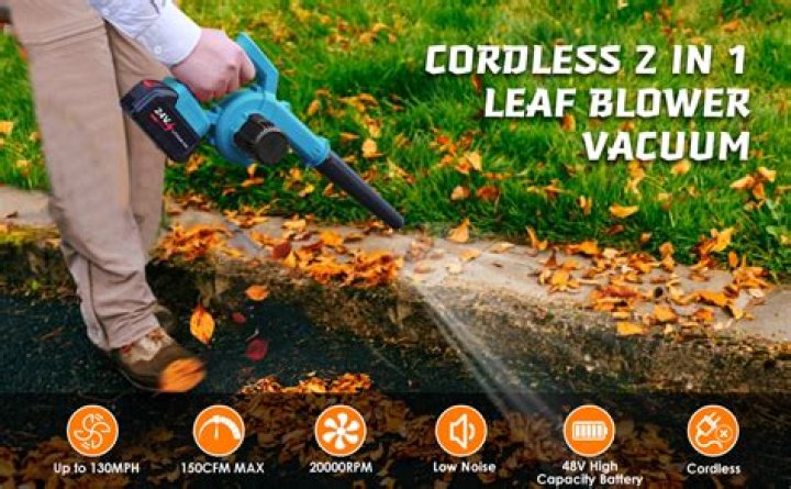 Can you use a leaf blower on grass?