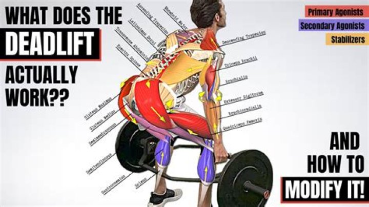 Do deadlifts work shoulders?
