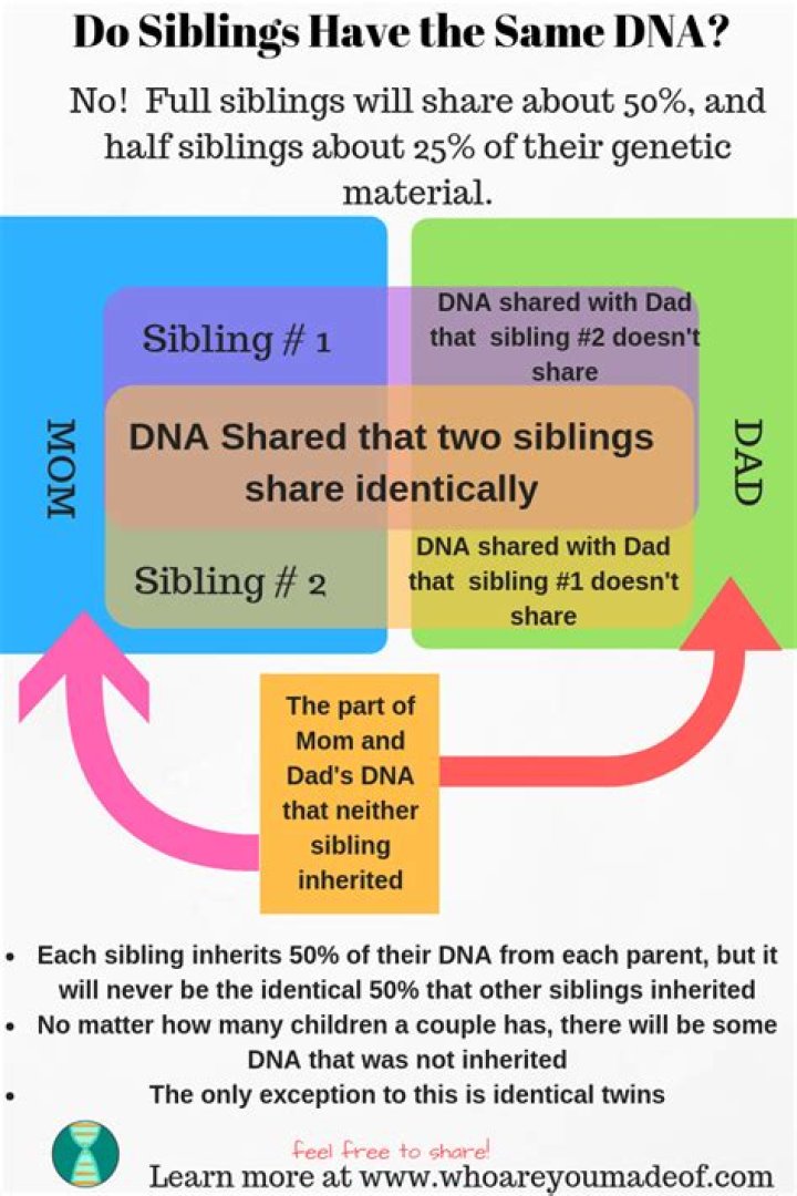 Do siblings have the same DNA 23andMe?