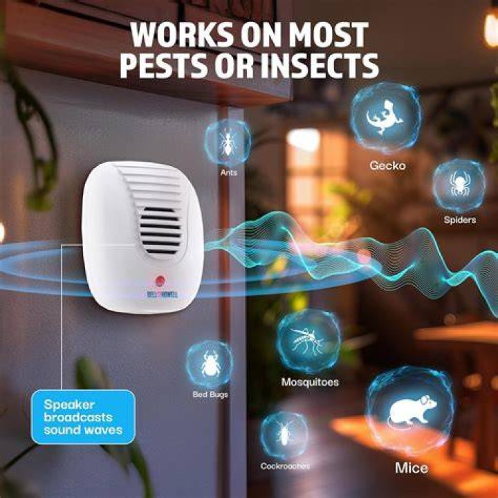 Do ultrasonic pest repellers work on racoons?