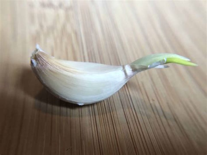 Does garlic dissolve when cooked?