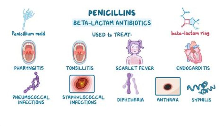 Does PCN mean penicillin? | ContextResponse.com