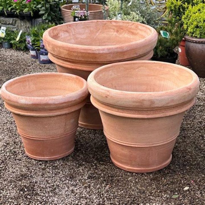 Does Walmart sell terracotta pots?