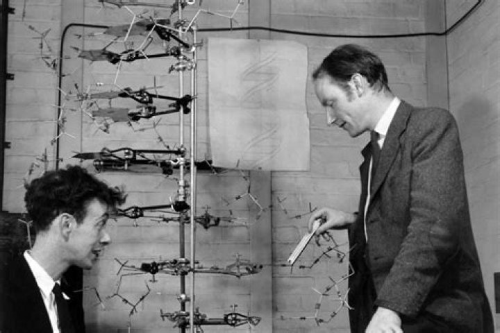 How did Watson and Crick discover DNA structure?