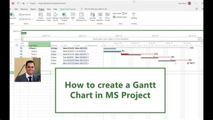 How do I export a Gantt chart from MS Project to PDF?