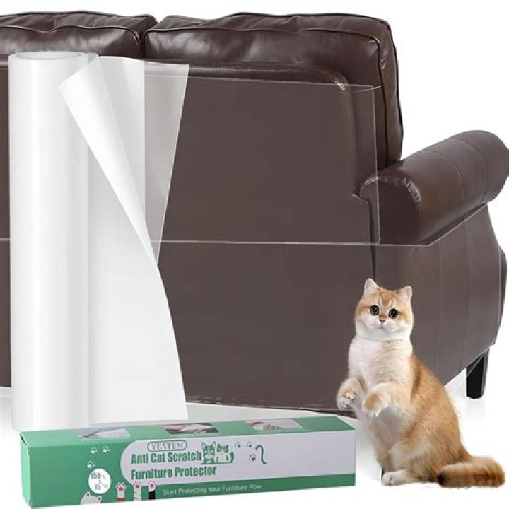 How do I protect my cats electrical cords?