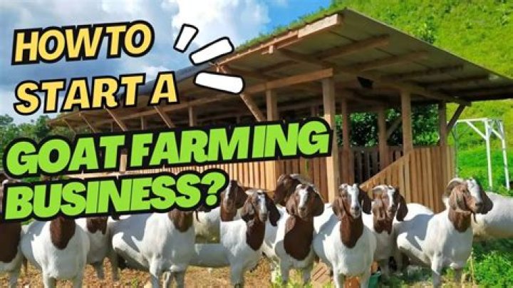 How do you make a goat farm?