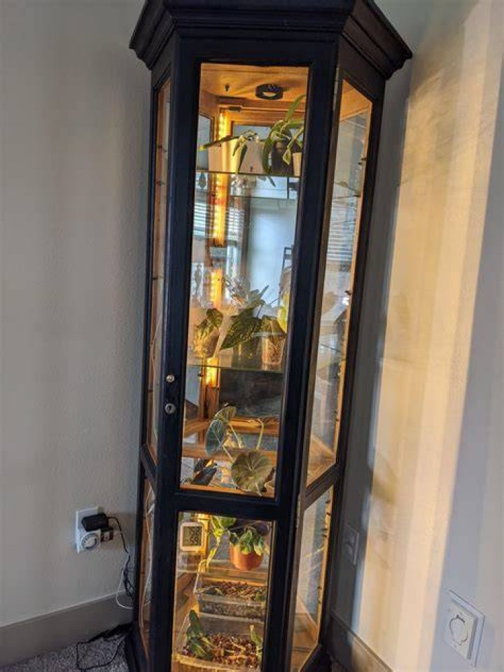 How do you move a curio cabinet?
