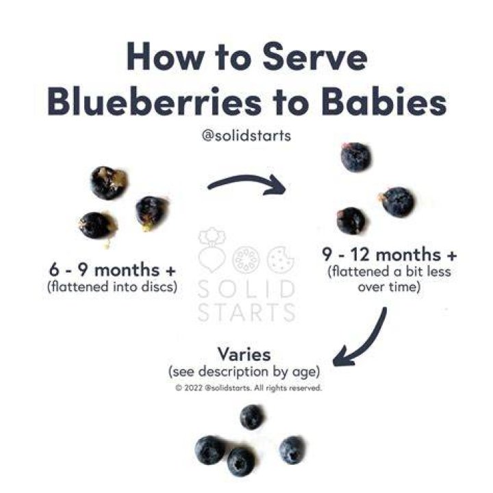 How do you prepare blueberries for winter?