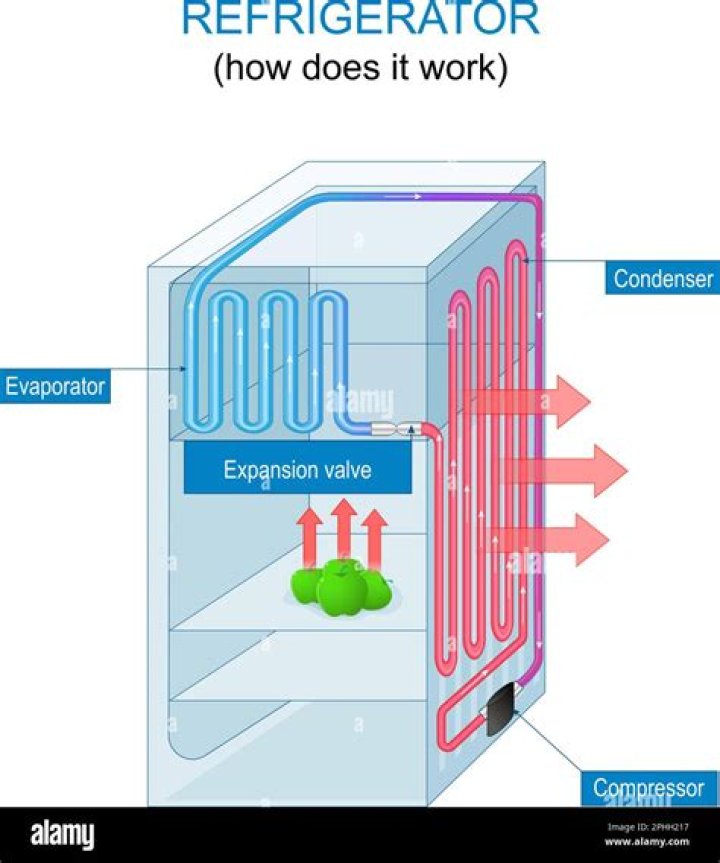 How does fridge compressor work?