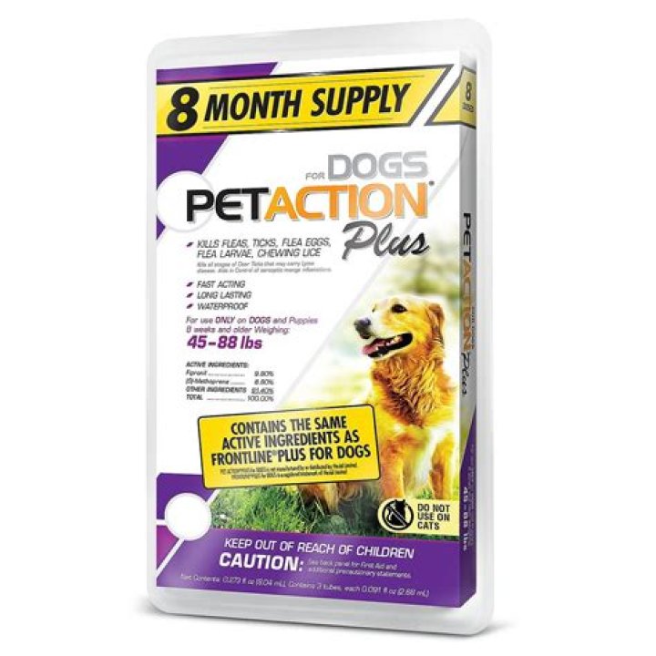How fast does pet Action Plus work?