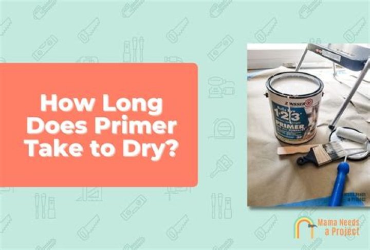 How long does oil based primer take to cure?