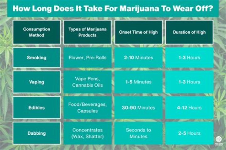 How long does Q Bond take to dry?