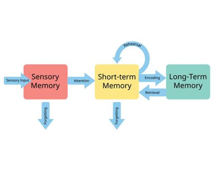 How long is opt processing?