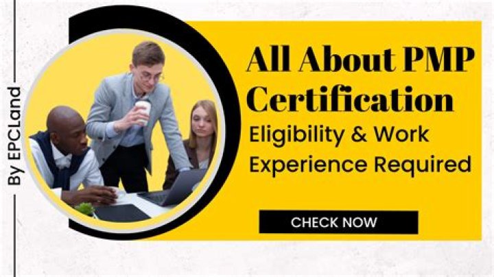 How many PMP applications are audited?