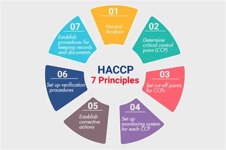 How many principles constitute Safe Harbor principles?