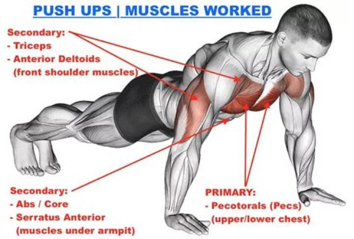 How many pushups and sit ups a day?