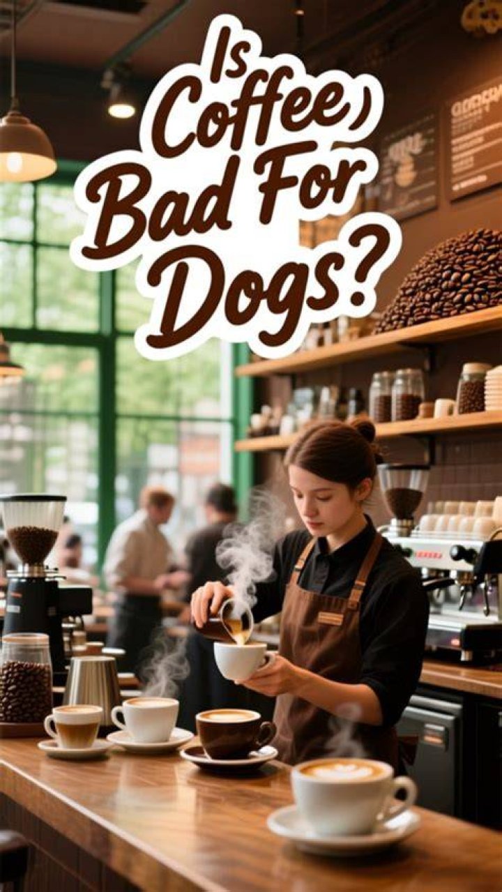 How much coffee is bad for dogs?