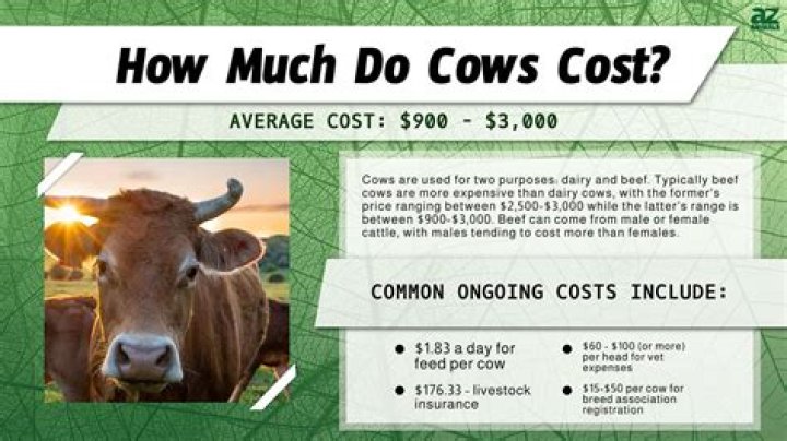 How much does a gas log cost?