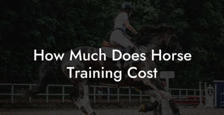 How much does ABA training cost?