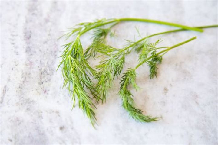 Is dill and soya same?