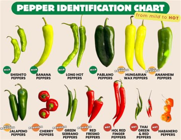 Is ground red pepper the same as ground cayenne pepper?