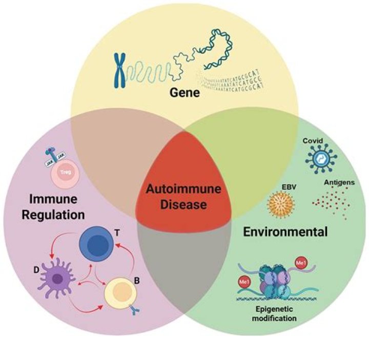 Is IC an autoimmune disease?