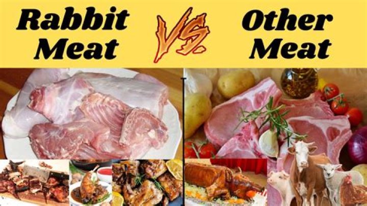 Is rabbit meat better than chicken?