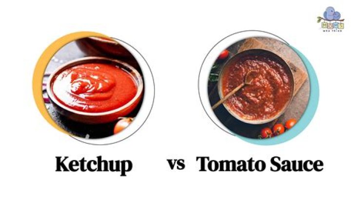 Is there a difference between crushed tomatoes and tomato sauce?