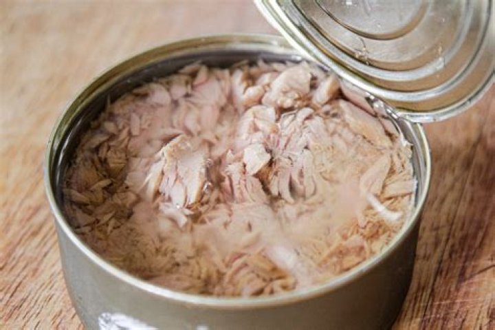 Should I boil tuna can?