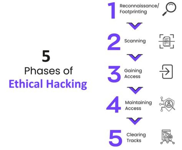 What are 5 basic types of hacking stages?