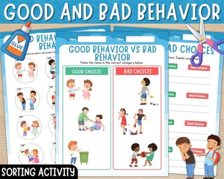 What are good behavior examples?