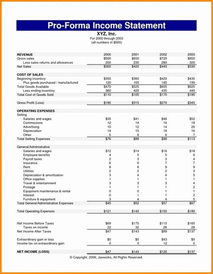 What are pro forma financial statements?