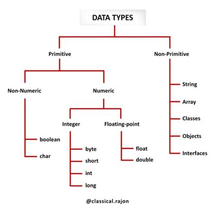 What are the major type classifications?