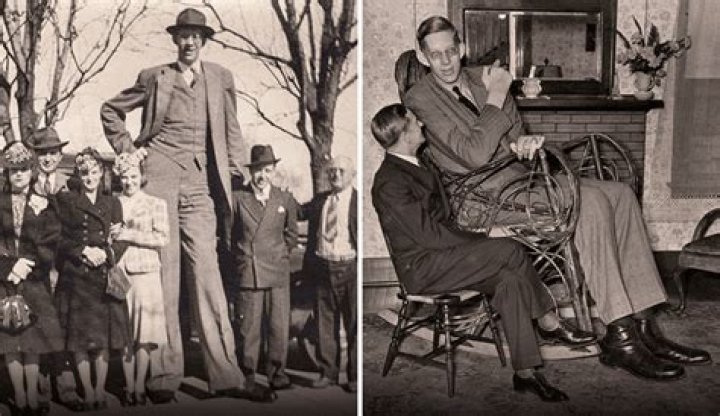 What disease did Robert Wadlow?