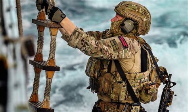 What do the Marines do UK?