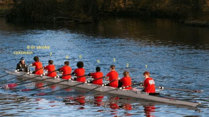 What does a rowing cox say?