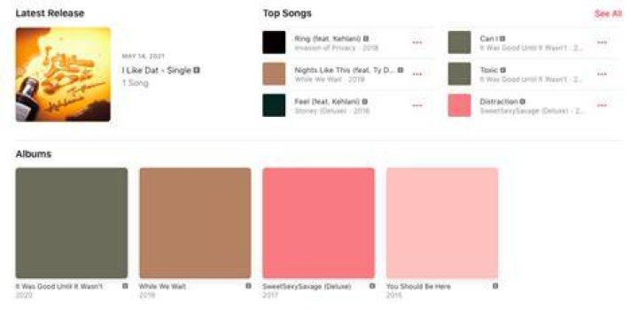 What does the E on iTunes songs mean?