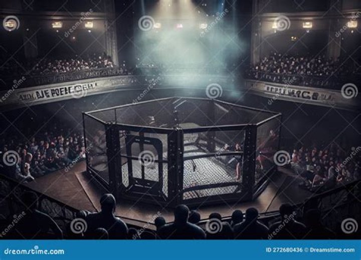 What is a cage fight?