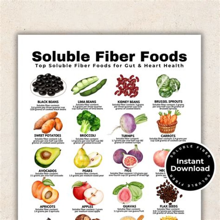 What is a fermentable fiber?