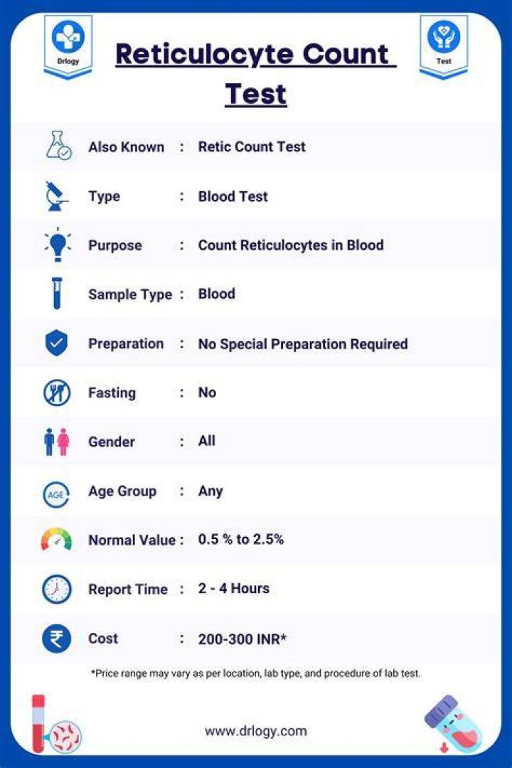 What is a reticulocyte count and what does it indicate?