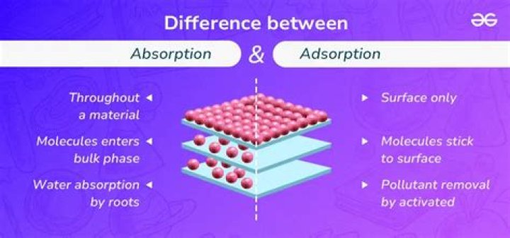 What is absorption capacity chemistry?