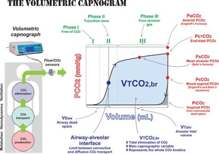 What is pco2 normal range?