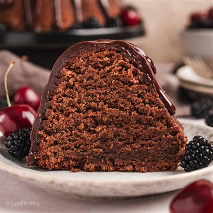 What is the mud cake?