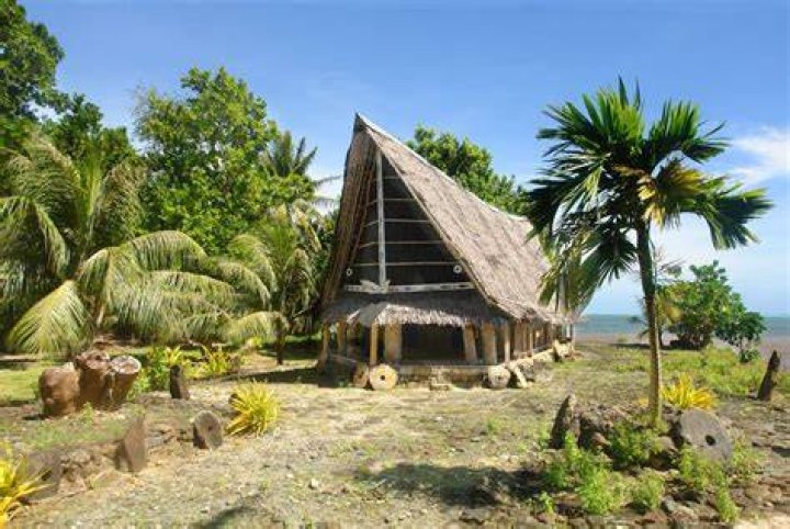 What is YAP known for?
