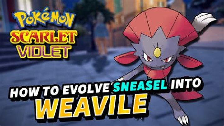 What level does Sneasel evolve at?
